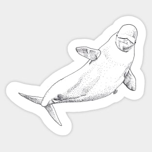 Beluga Sticker